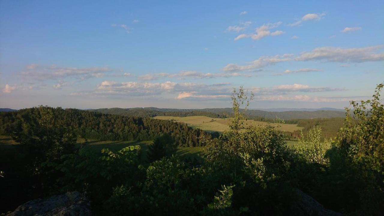 Apartmany U Lipno Frymburk nad Vltavou Exterior foto