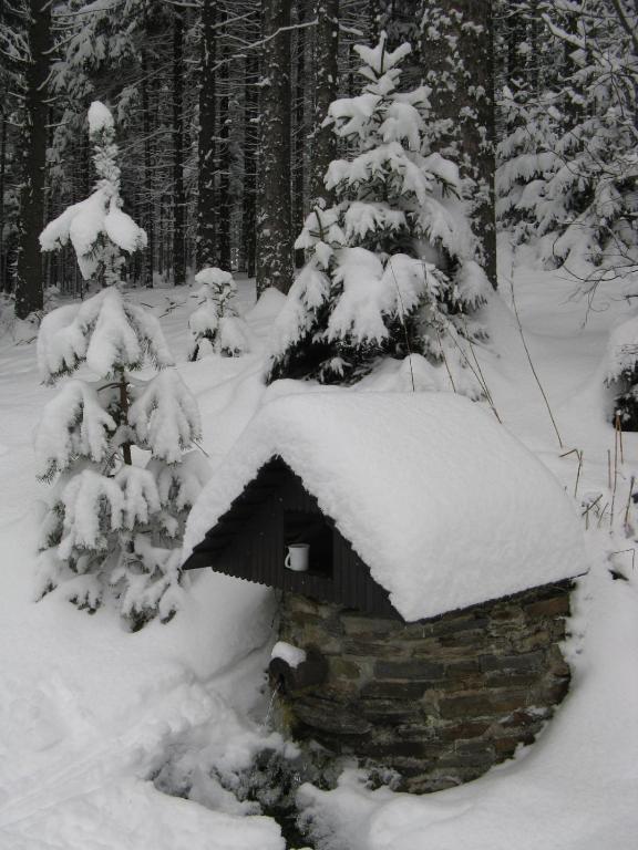 Apartmany U Lipno Frymburk nad Vltavou Exterior foto