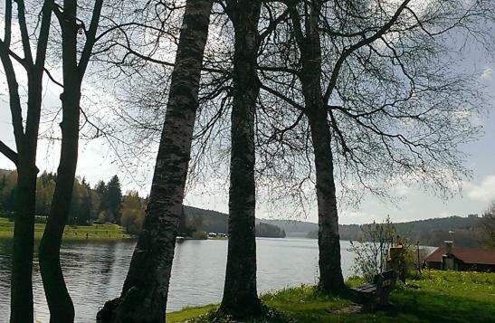 Apartmany U Lipno Frymburk nad Vltavou Exterior foto